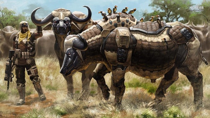 你在出租房屋发现过什么前租客留下的“宝藏”？